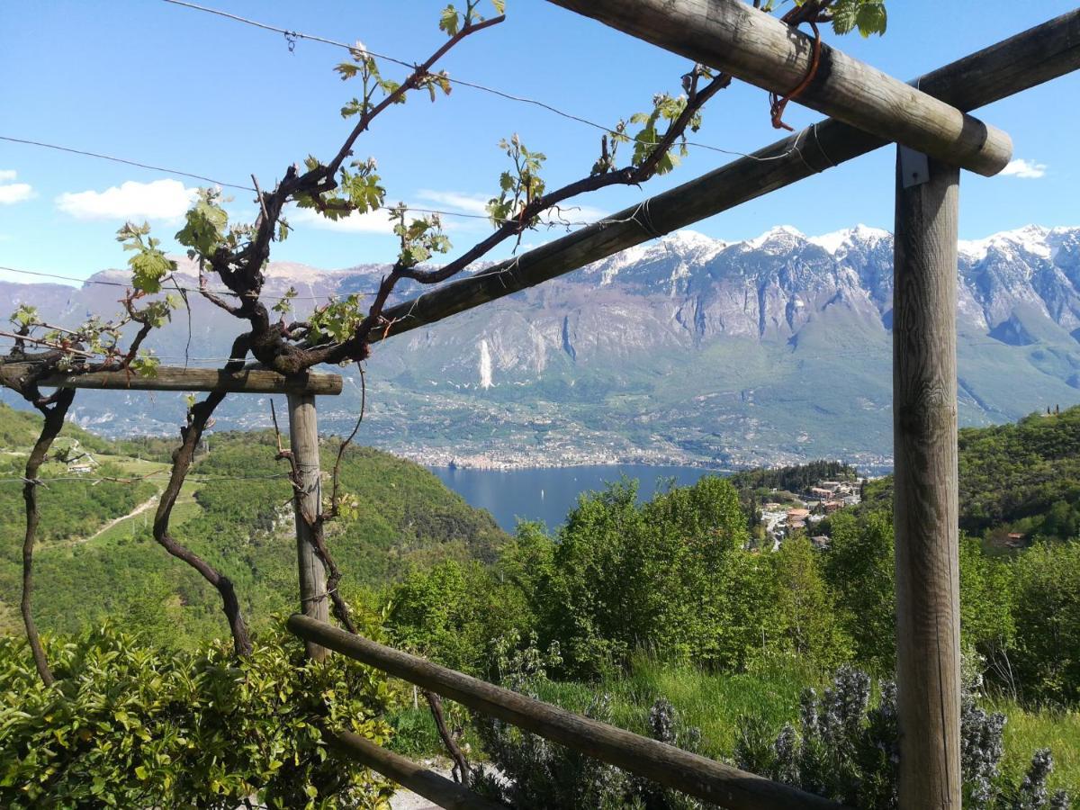 Tremosine Agriturismo La Zangola מראה חיצוני תמונה