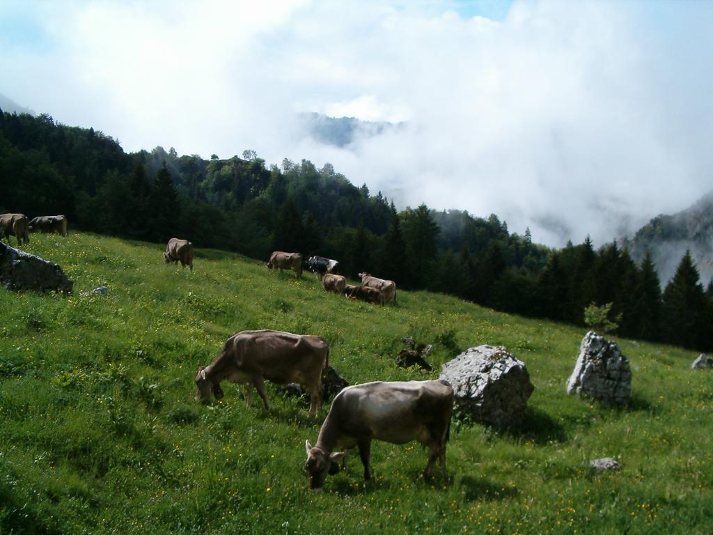 Tremosine Agriturismo La Zangola מראה חיצוני תמונה